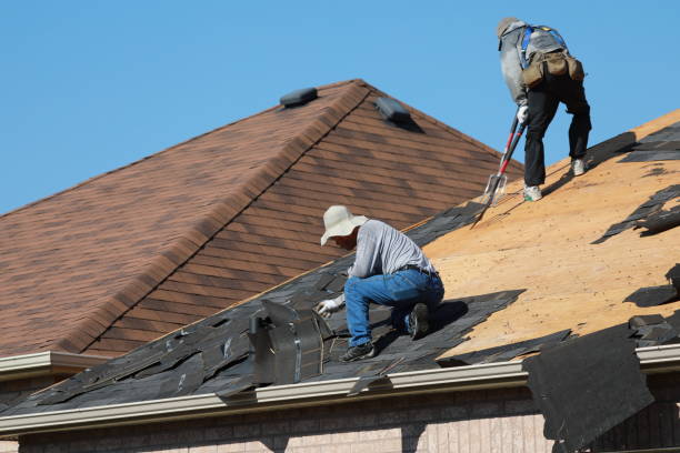 Best Roof Maintenance and Cleaning  in Sewanee, TN