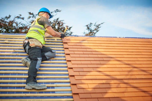 Best Solar Panel Roofing Installation  in Sewanee, TN